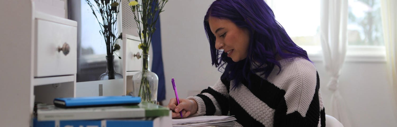 Estudiante trabajando en su escritorio